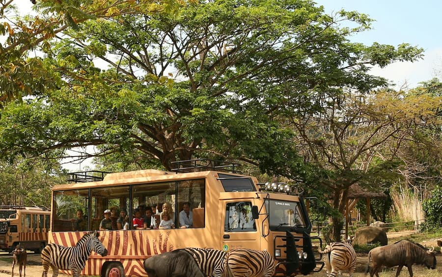 Bali Safari: Day Pass
