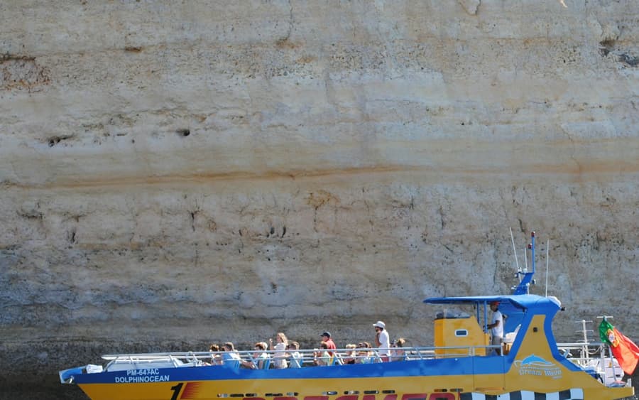 Benagil & Dolphin Watching: Jet Boat Tour from Albufeira