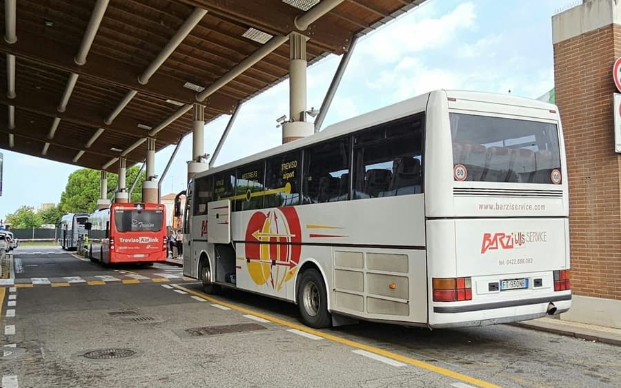 Venice: Bus Transfer to Treviso Airport (TSF) by Barzi Service