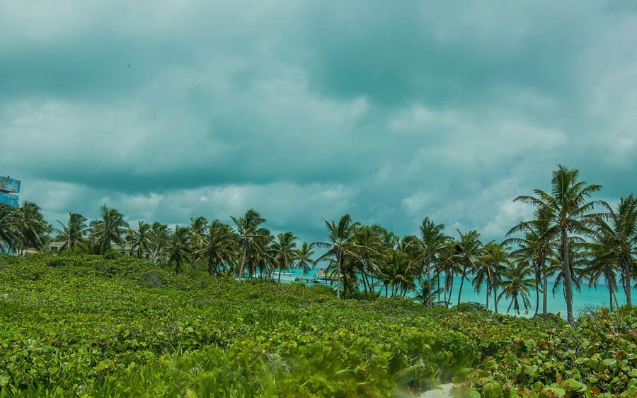 Isla Contoy & Isla Mujeres: Boat and Snorkel Tour from Cancún