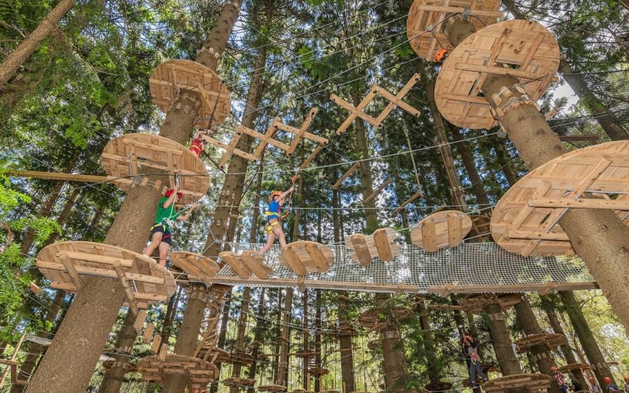 Treetops Adventure - The Hills: Entry Ticket
