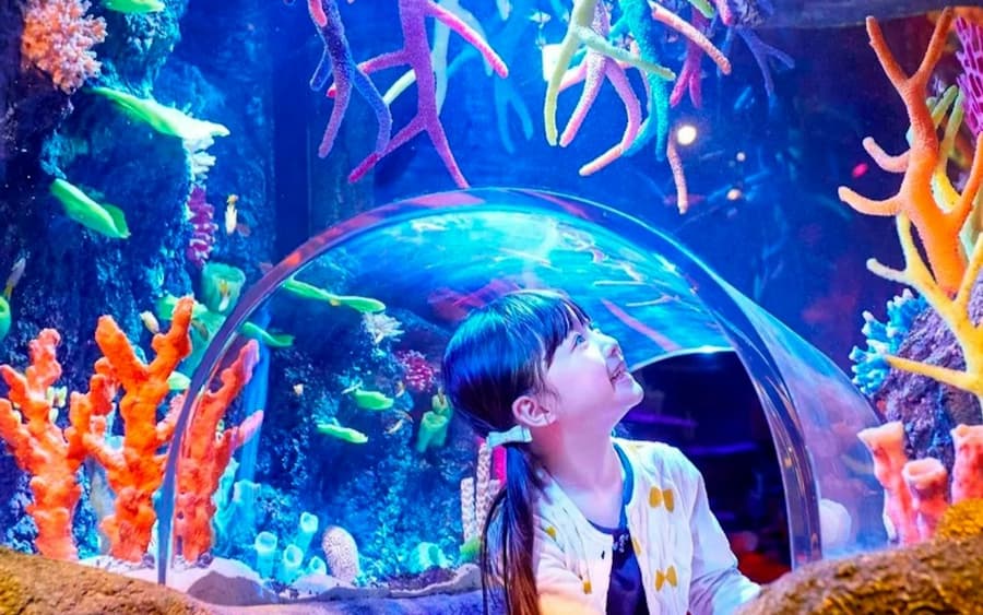 SEA LIFE Nagoya: Entry Ticket