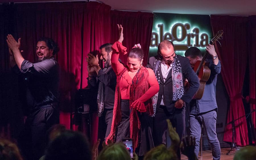 Alegría - Flamenco Show