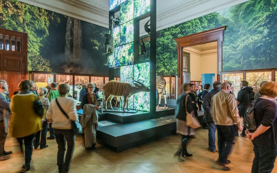 AfricaMuseum Brussels: Entry Ticket