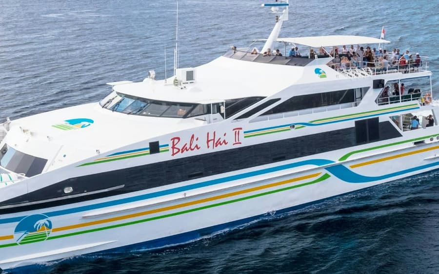 Nusa Lembongan: Cruise from Bali + Beach Club Entry + Activities