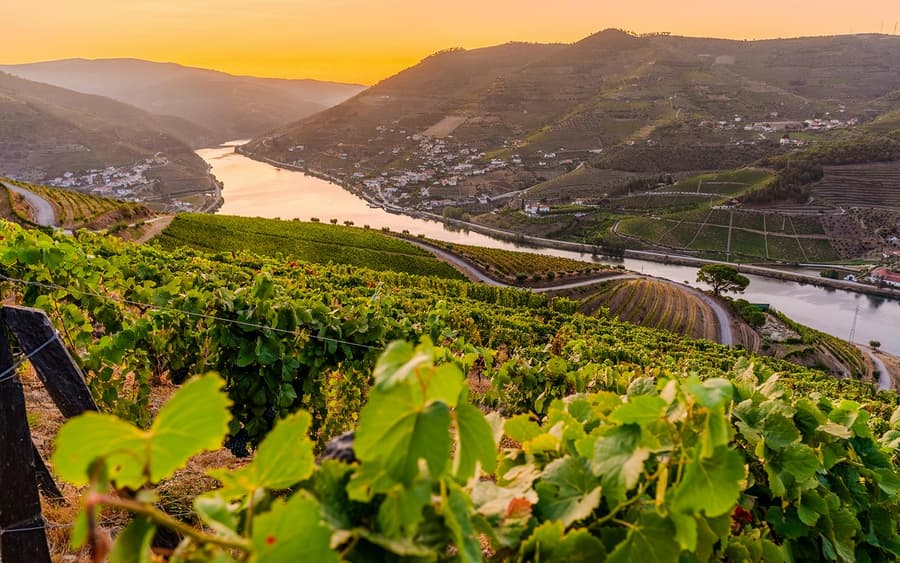 Half Day Douro Valley Guided Tour with 1-Hour Pinhao Cruise & Wine Tastings