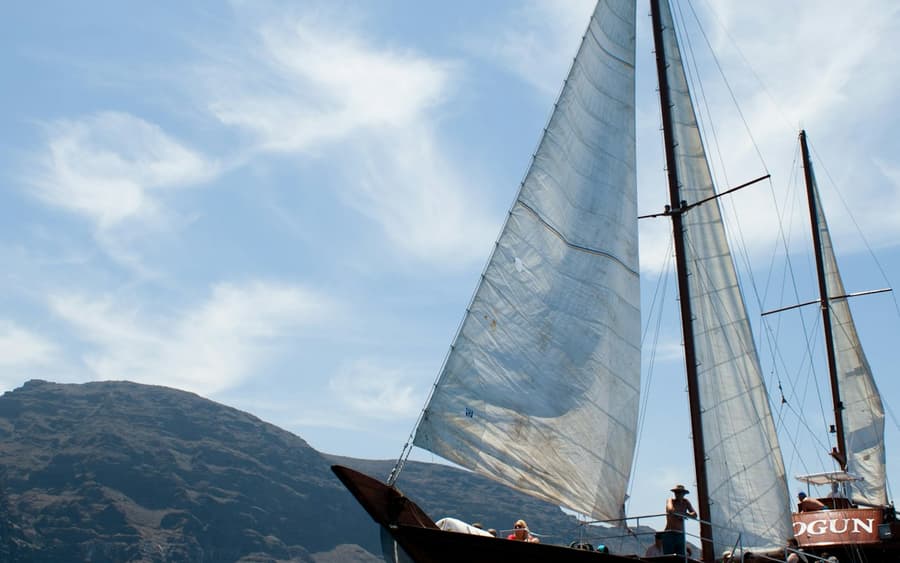 Los Gigantes: 5-Hr Guided Whale Watching Cruise from Costa Adeje + Lunch