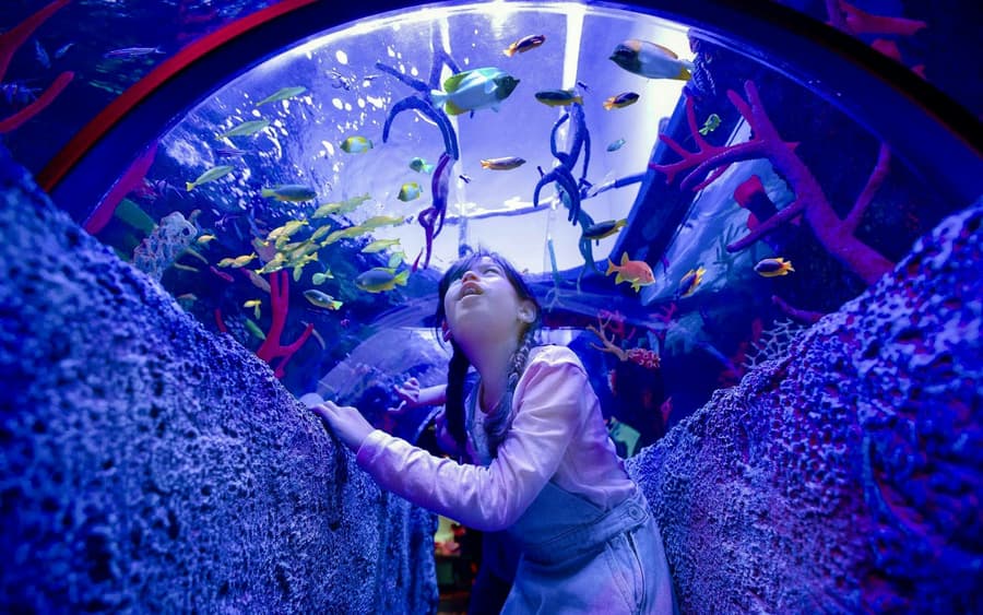 LEGOLAND® Malaysia SEA LIFE