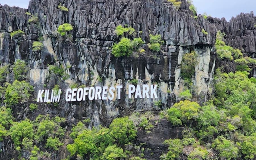 Paradise 101 Langkawi: Kilim Mangrove Guided Boat & Kayak Tour