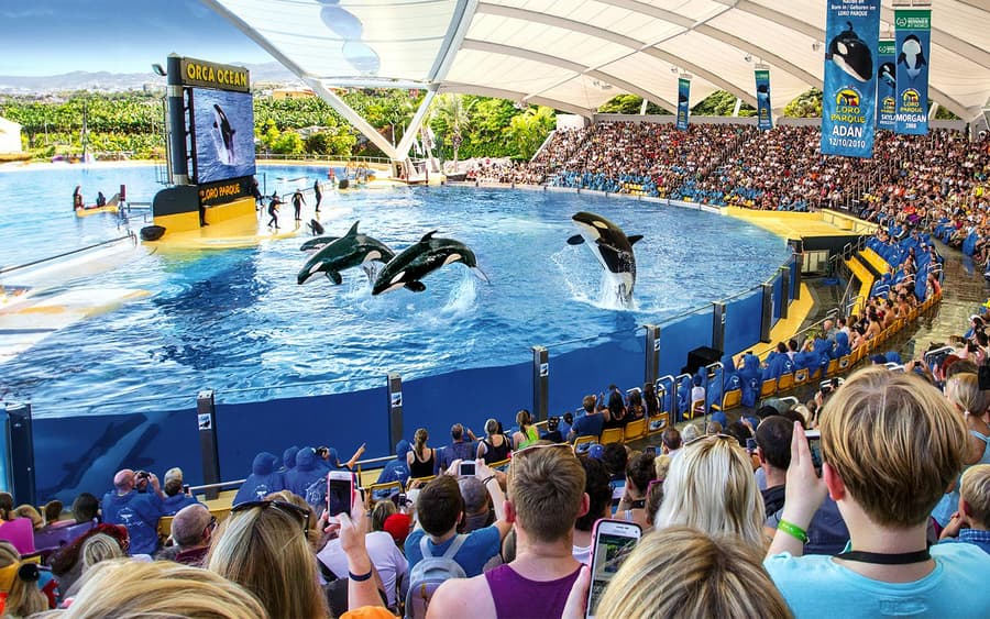 Loro Parque : Billet d'entrée