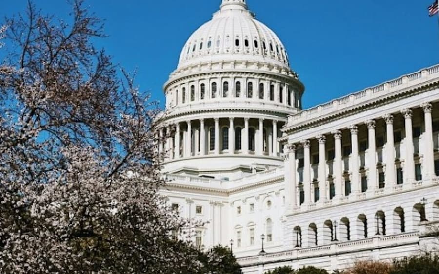 Capitol Hill: Small-Group Guided Walking Tour
