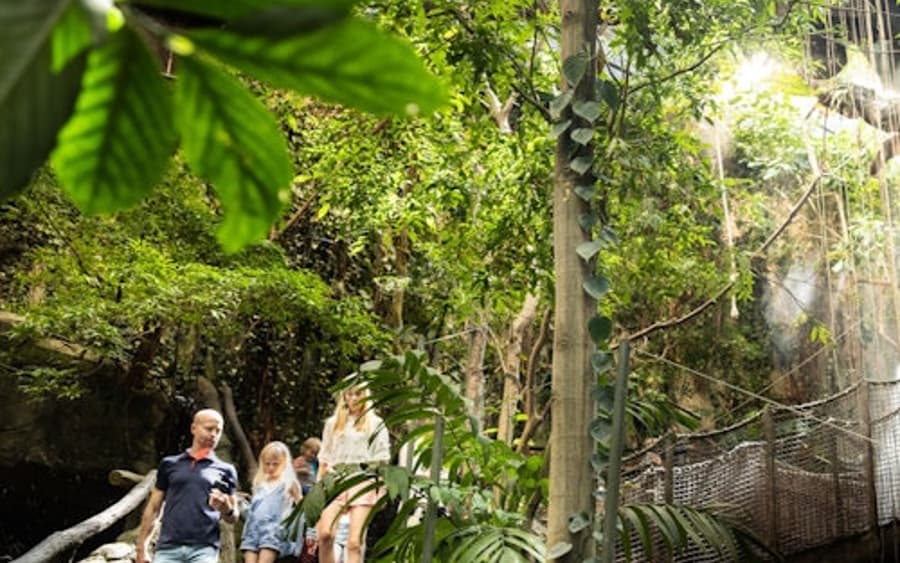 Universeum: Entry Ticket