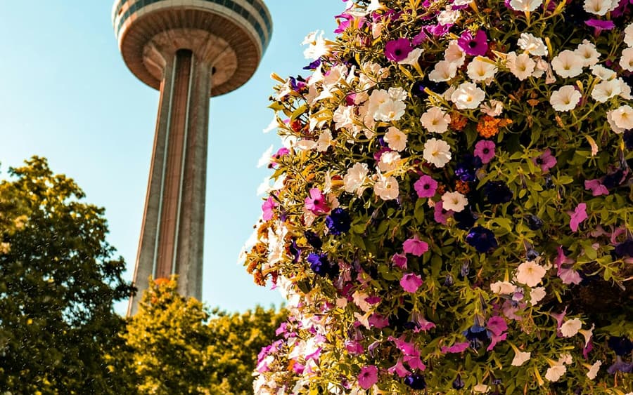 Niagara Falls: Guided Tour with Boat Cruise, Cave of the Winds & Skylon Tower