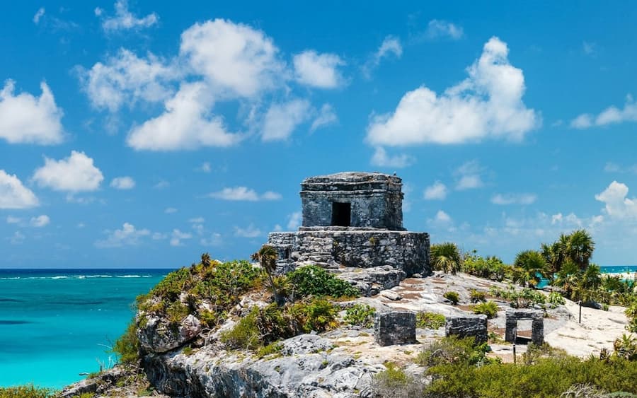 Tulum: Snorkeling with Turtles in Akumal + Mariposa Cenote + Lunch + Transfer