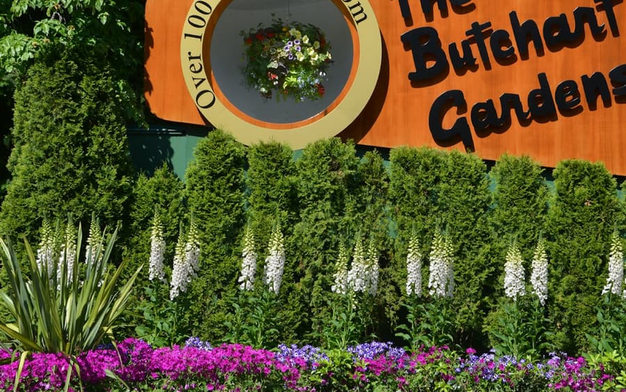 Roundtrip Transport from Victoria to Butchart Gardens