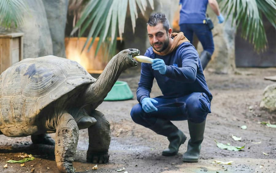 ZooParc de Beauval 2-Day Entry Ticket