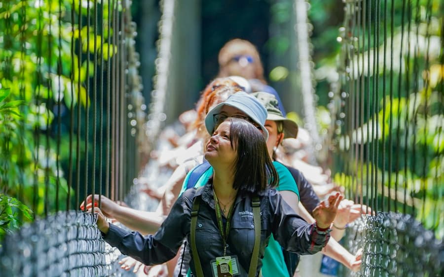 Mistico Arenal Hanging Bridges Park: Entry Ticket