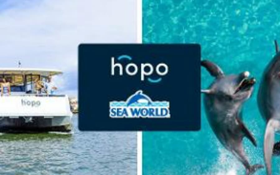Sea World Gold Coast: Entry Ticket + Roundtrip Ferry
