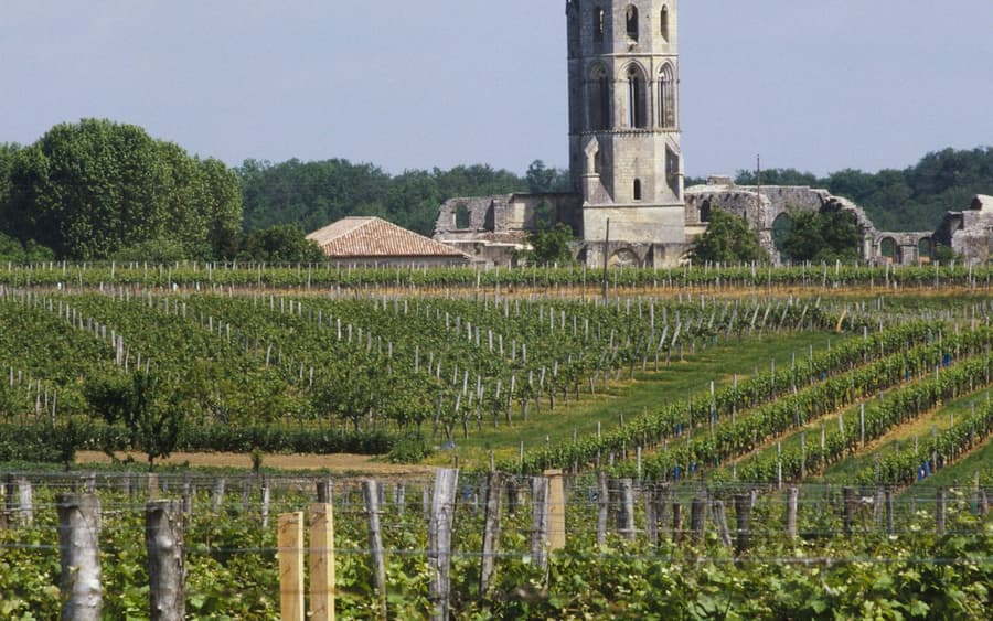 Abbaye de La Sauve-Majeure: Entry Ticket