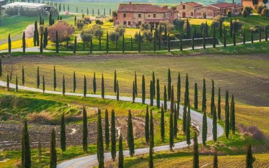 Montalcino: Wine Tasting Tour from San Gimignano