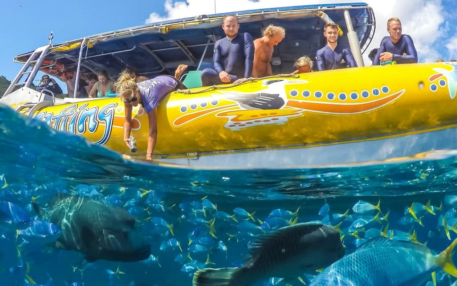 Whitsundays Ocean Rafting: Snorkel, Paseo & Whitehaven Beach