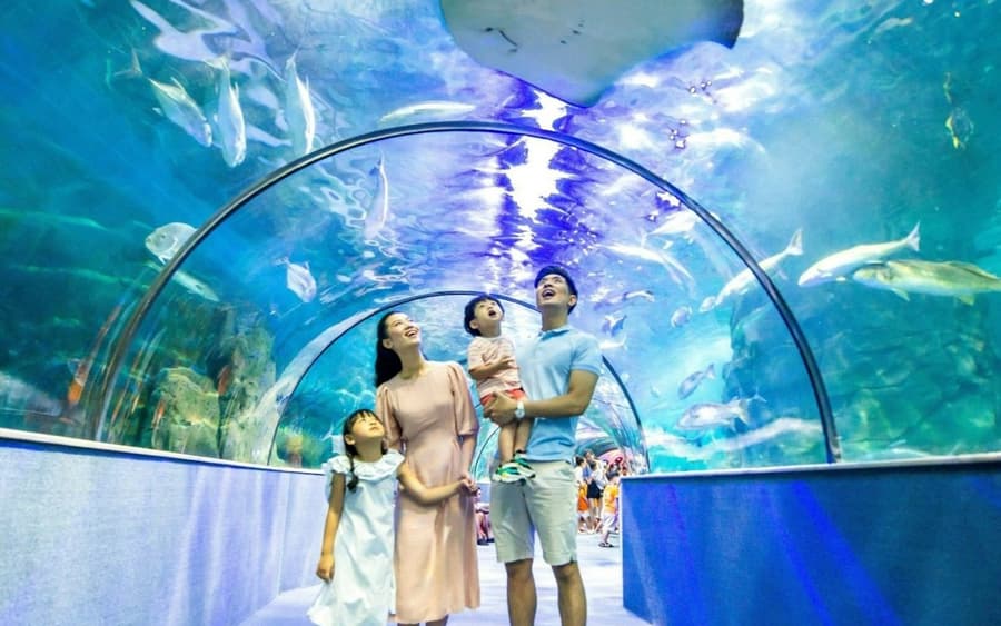 VinKE & Vinpearl Aquarium: Entry Ticket