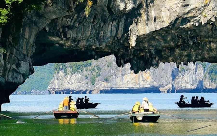 Ha Long Bay: Günübirlik Tekne Turu + Transferler + Öğle Yemeği