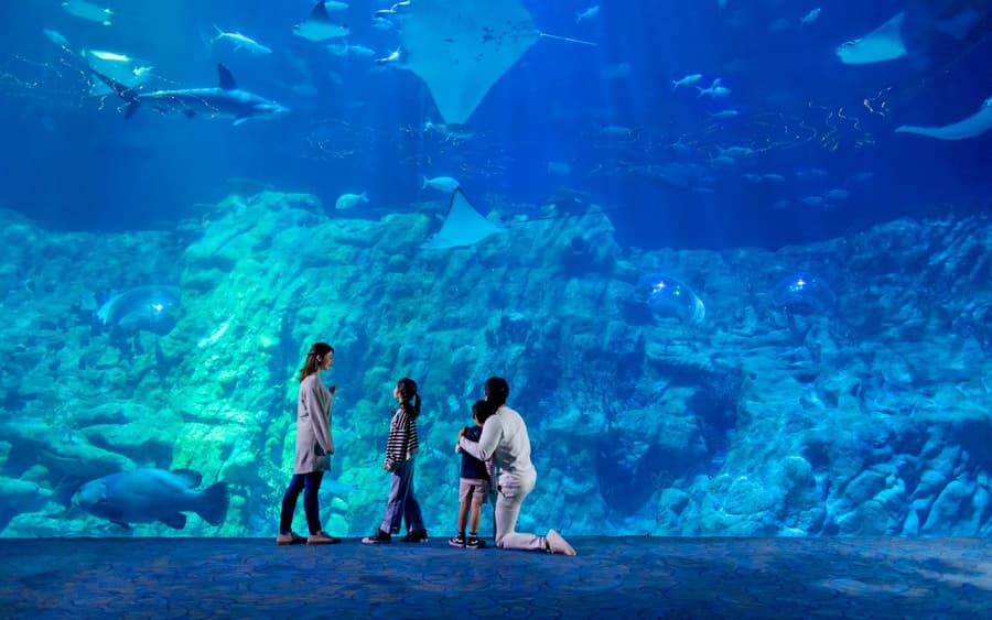 Ocean Park Hong Kong Biletleri