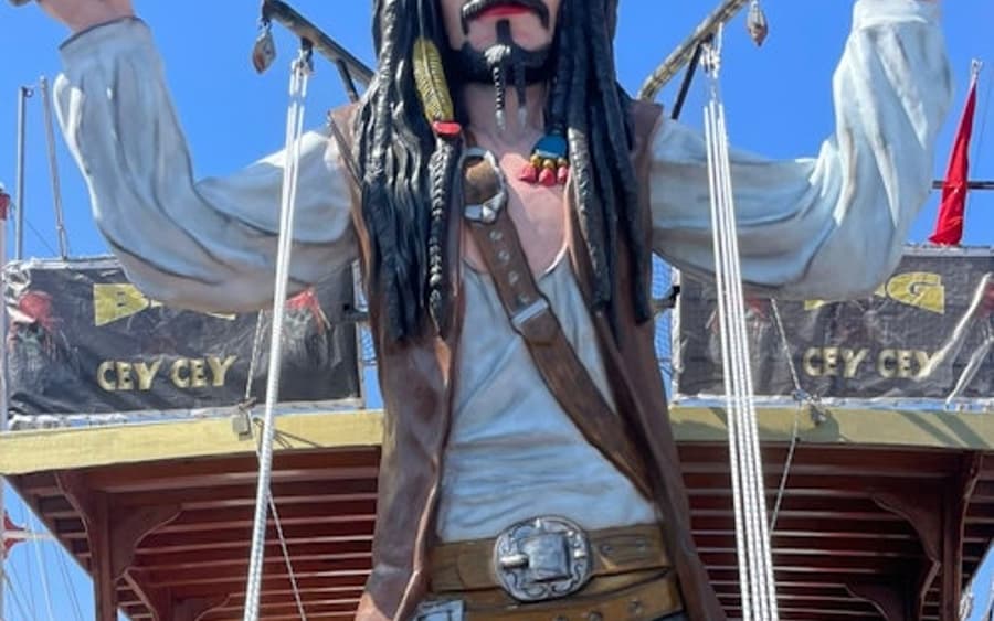Bodrum: Viaje en Barco Pirata para Fiestas