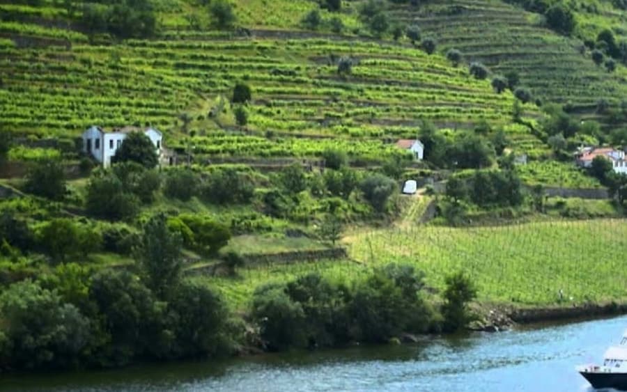 Douro Valley: Cruise + Breakfast, Lunch & Wine from Porto