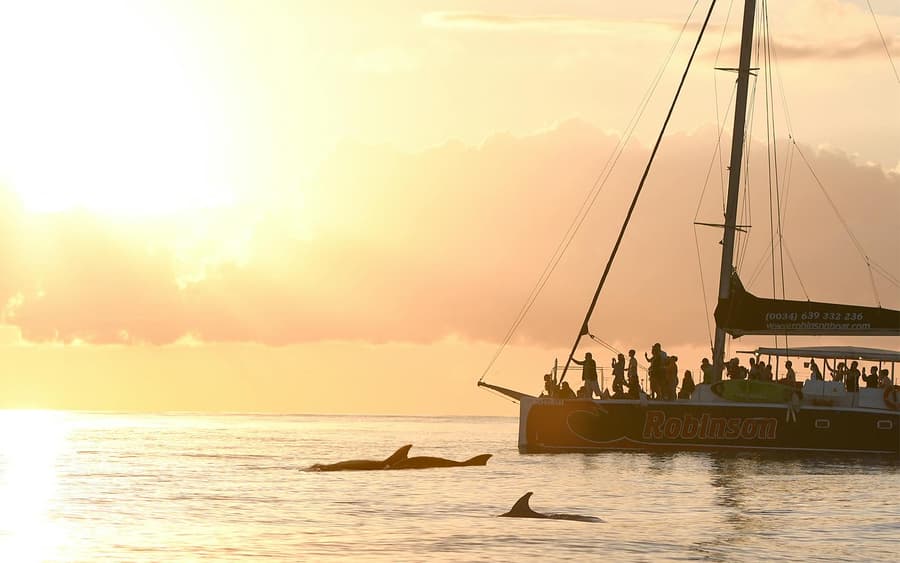 Mallorca Sunrise and Dolphin Watching Catamaran