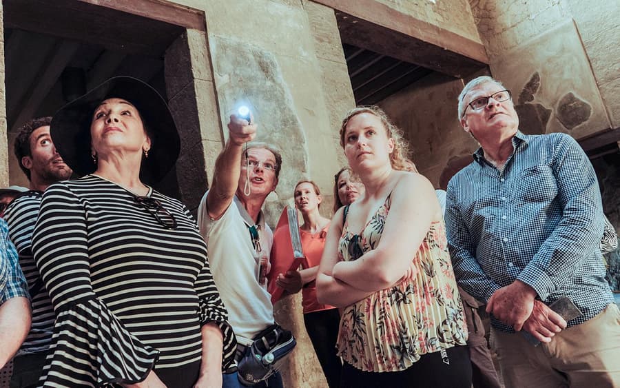 Herculaneum Guided Tour with Round-Trip Transfers