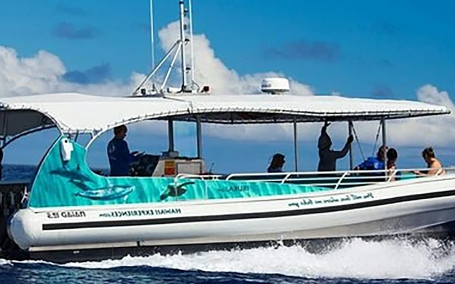 Kona Afternoon Snorkel Tour