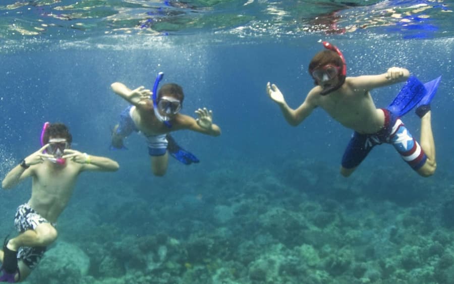 Kealakekua Bay and Captain Cook: Snorkeling Experience
