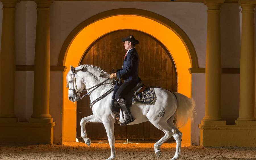 Royal Andalusian School of Equestrian Art: Visita Completa + Upgrade VIP Opzionale