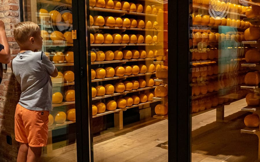 Edam Cheese Experience: The Story of Edam Cheese