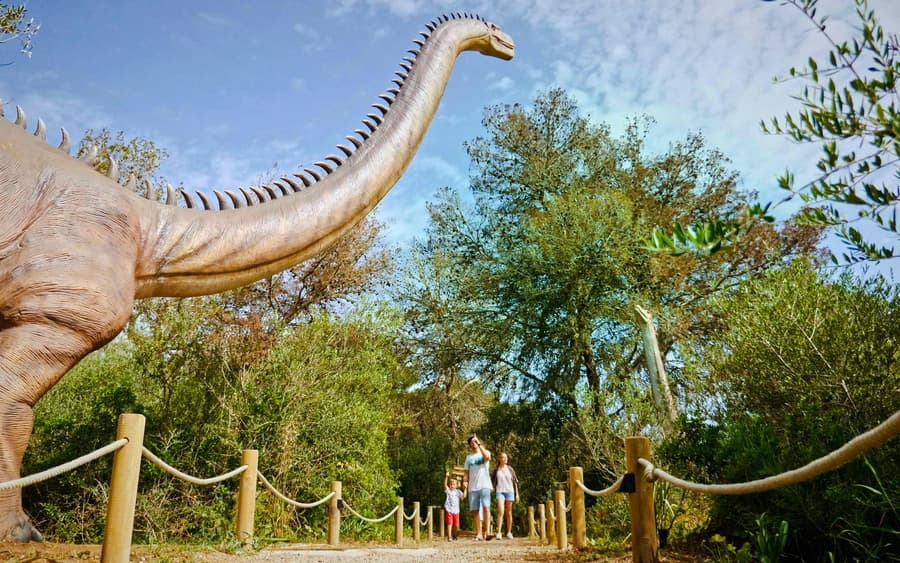 From Alcúdia: Hams' Caves Half-Day Trip with Dinosaurland
