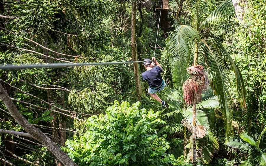TreeTop Challenge at The Big Pineapple in Sunshine Coast