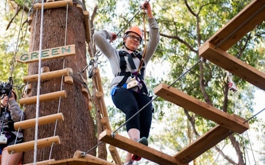 Coffs Harbour: Avventura tra le Cime degli Alberi