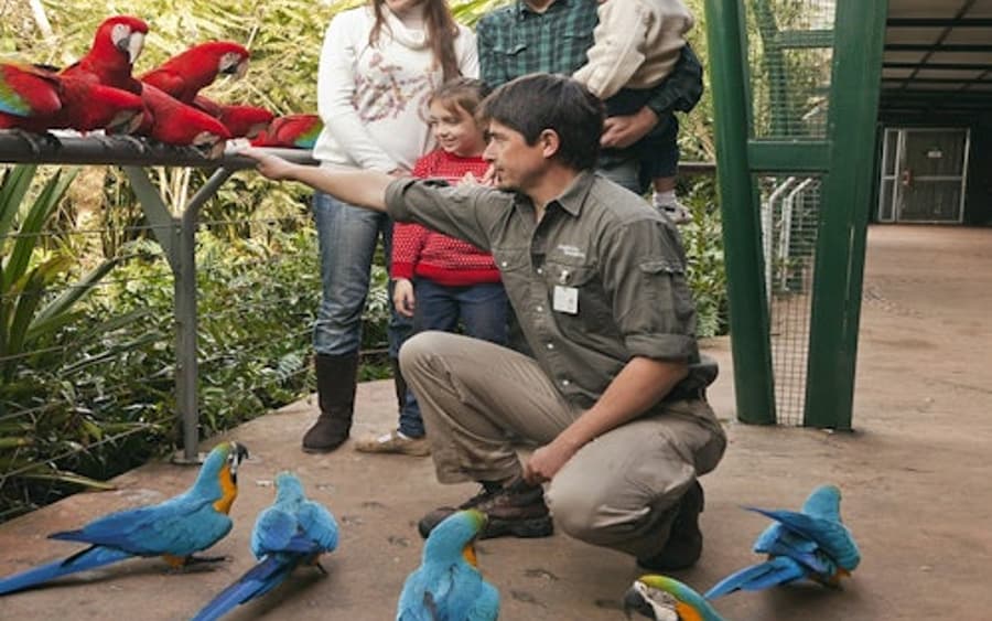 Temaikèn Zoo: Entrance & Transport from Buenos Aires