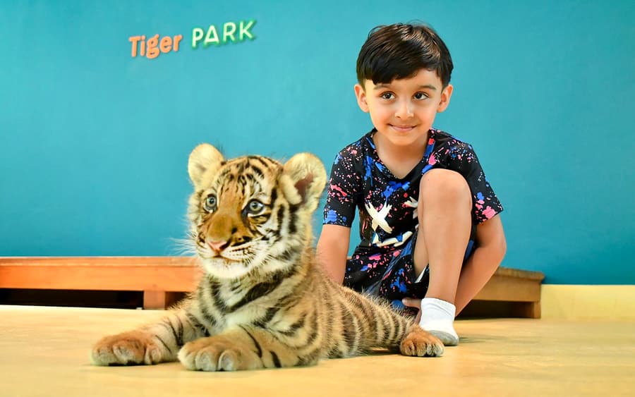 Bilete pentru Tiger Park cu Interacțiuni cu Tigrii