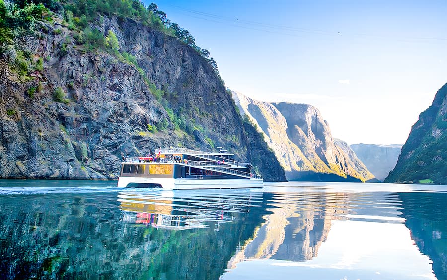 From Bergen: Nærøyfjord Cruise, Flåm, and Stegastein Guided Bus Tour