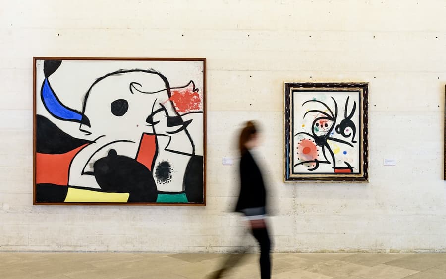 Fundació Miró Mallorca: Entry Ticket