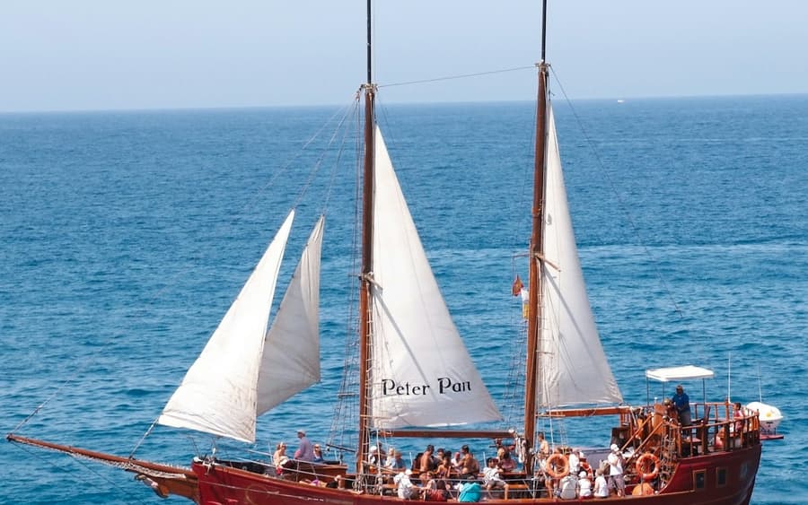 Los Cristianos: Guided Whale Watching Cruise