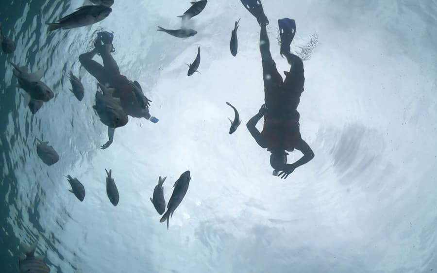 Cozumel: Glass Boat, Drinks and Snorkel Tour