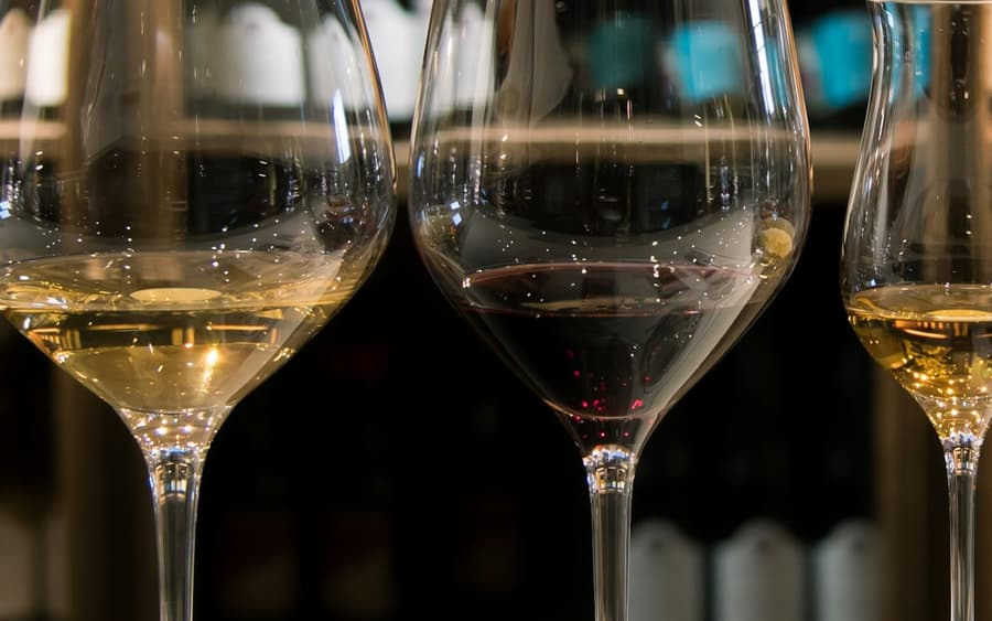 Reif Estate Winery: Premium Wine Tasting