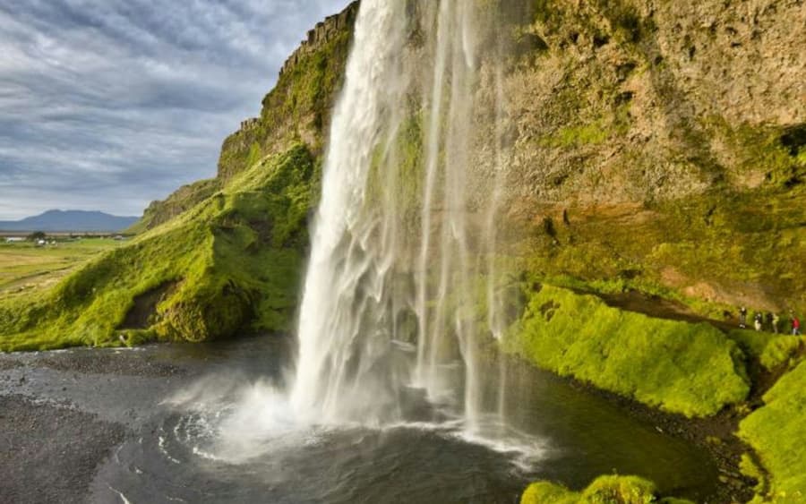 Vik, Skógafoss Waterfall & Black Sand South Iceland: Tour Guiado + Transporte
