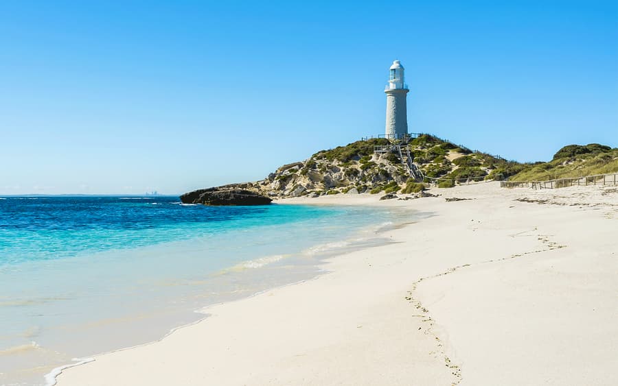 Depuis Hillarys: Aller-retour en ferry pour l'île Rottnest