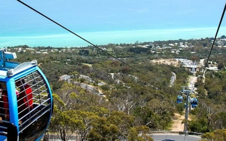 Peninsula Mornington: Bilet pentru Gondola Arthurs Seat Eagle