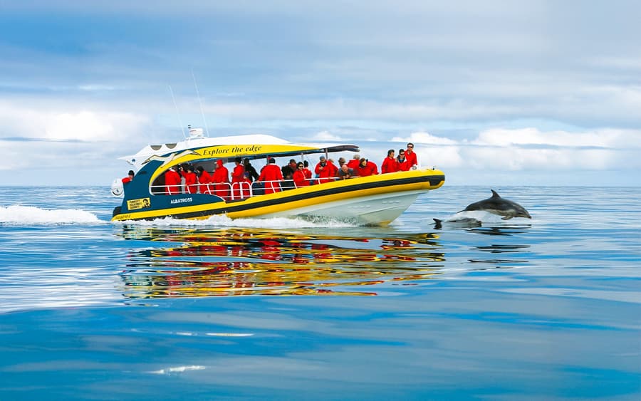Z Hobart: Bruny Island Całodniowa Wycieczka Autobusowa z Rejsami Przyrodniczymi